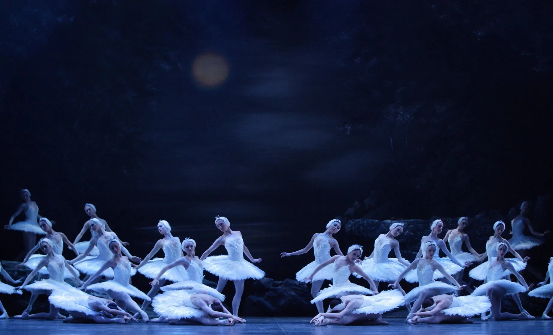 A group of ballerinas wearing tutus in English National Ballet's production of Swan Lake