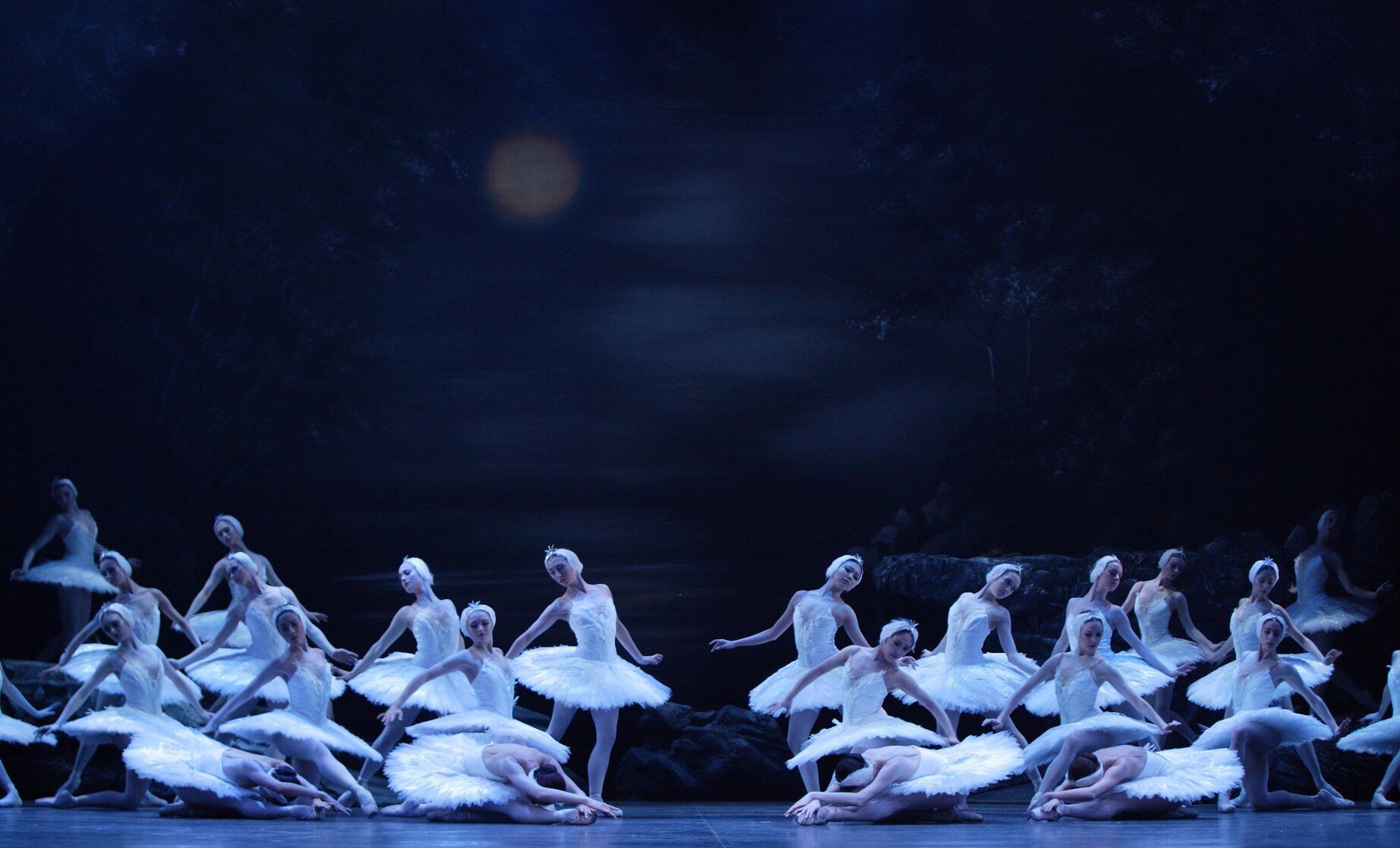 A group of ballerinas wearing tutus in English National Ballet's production of Swan Lake